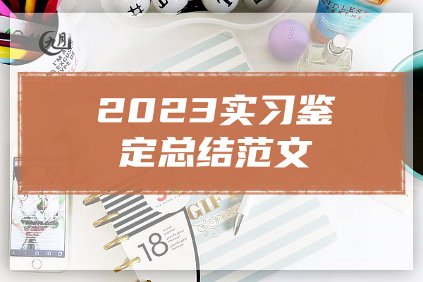 2023实习鉴定总结范文