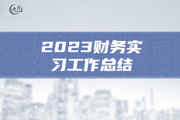 2023财务实习工作总结