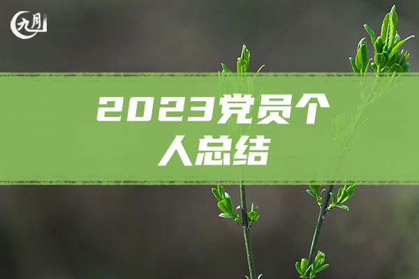 2023党员个人总结