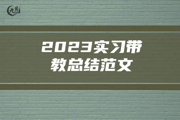 2023实习带教总结范文