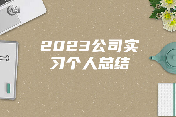 2023公司实习个人总结