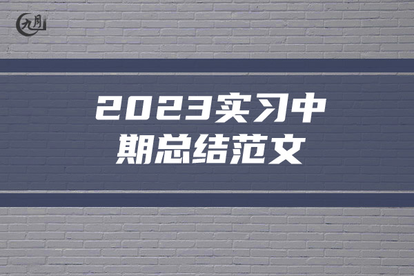 2023实习中期总结范文