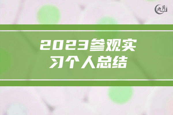 2023参观实习个人总结