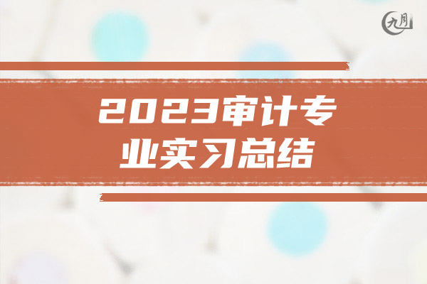 2023审计专业实习总结