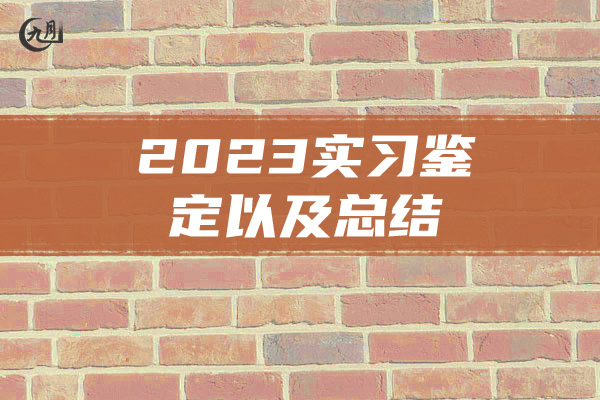 2023实习鉴定以及总结