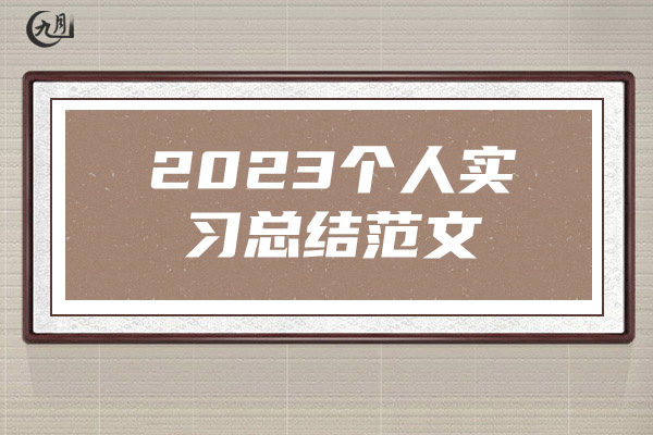 2023个人实习总结范文