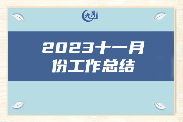 2023十一月份工作总结