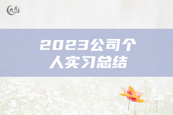 2023公司个人实习总结