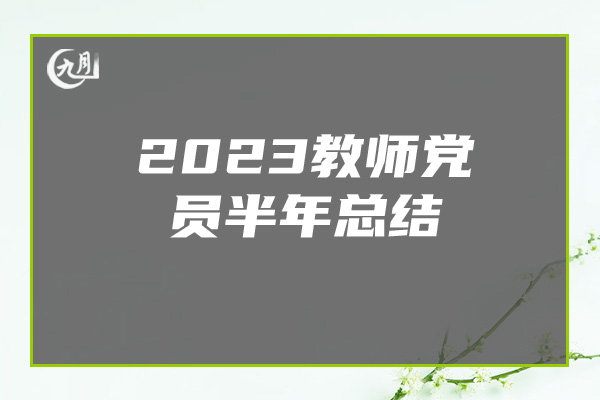 2023教师党员半年总结