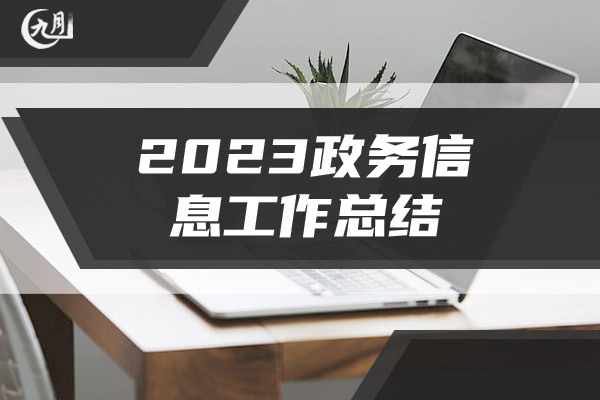 2023政务信息工作总结