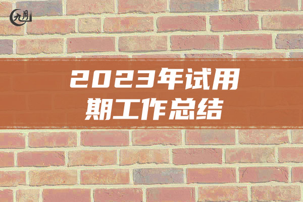 2023年试用期工作总结