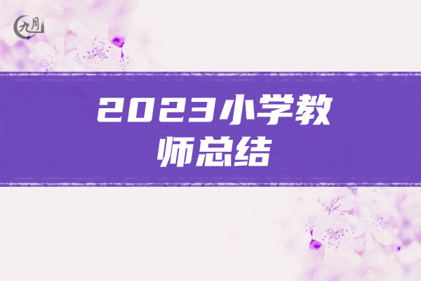 2023小学教师总结