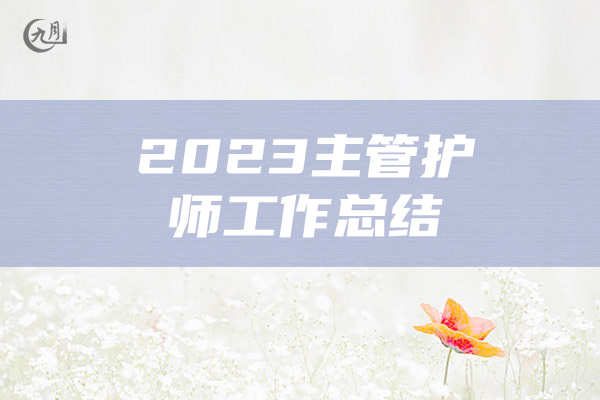 2023主管护师工作总结