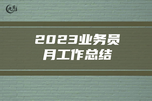 2023业务员月工作总结