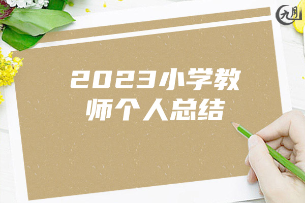 2023小学教师个人总结