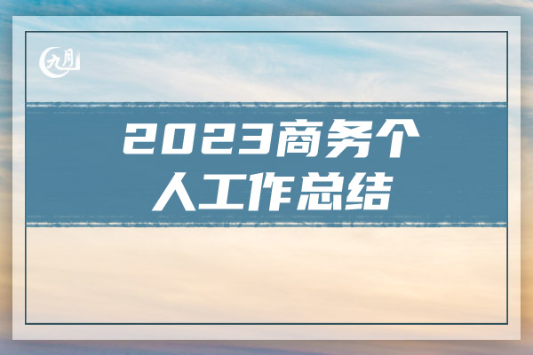 2023商务个人工作总结