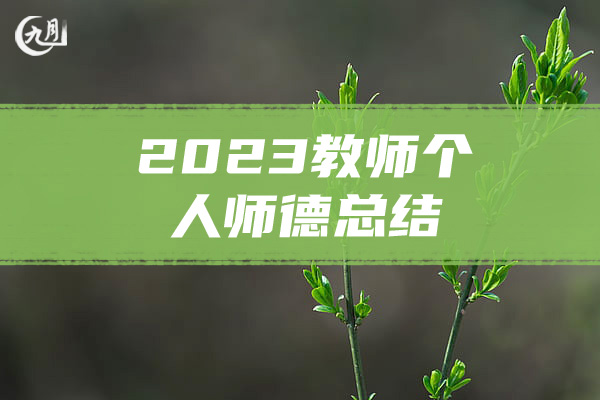 2023教师个人师德总结