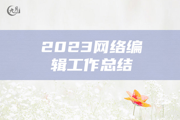 2023网络编辑工作总结