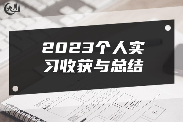 2023个人实习收获与总结