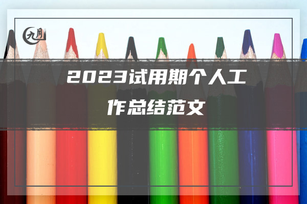 2023试用期个人工作总结范文