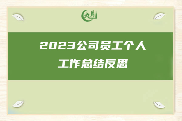 2023公司员工个人工作总结反思