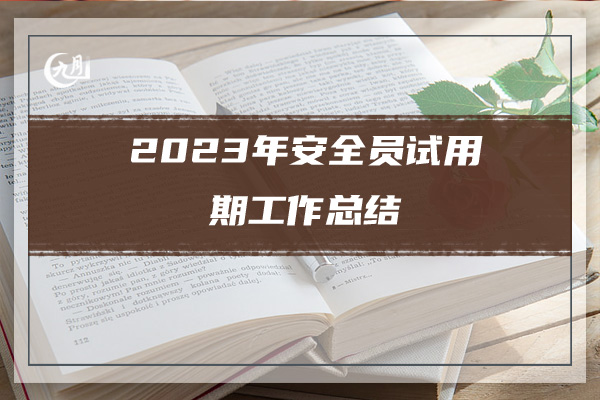 2023年安全员试用期工作总结