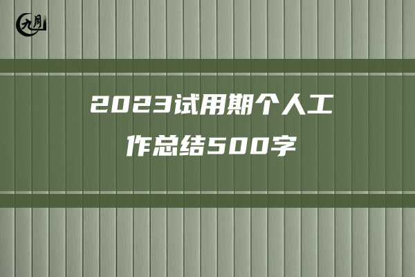 2023试用期个人工作总结500字