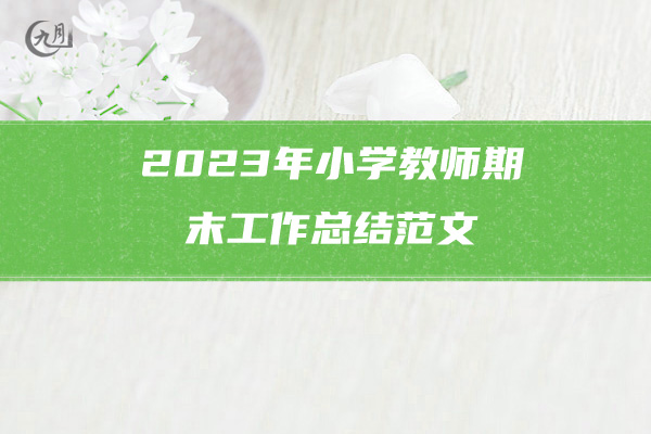 2023年小学教师期末工作总结范文