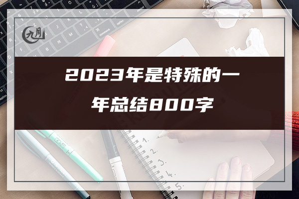 2023年是特殊的一年总结800字