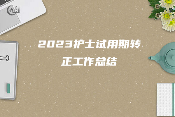 2023护士试用期转正工作总结