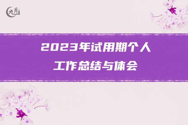 2023年试用期个人工作总结与体会