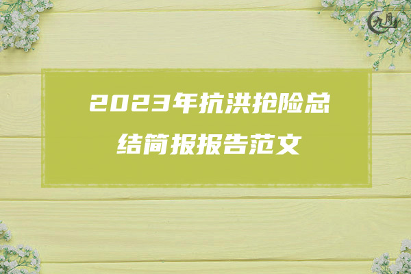 2023年抗洪抢险总结简报报告范文