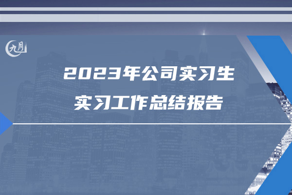 2023年公司实习生实习工作总结报告