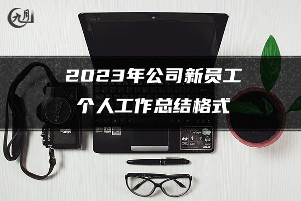 2023年公司新员工个人工作总结格式