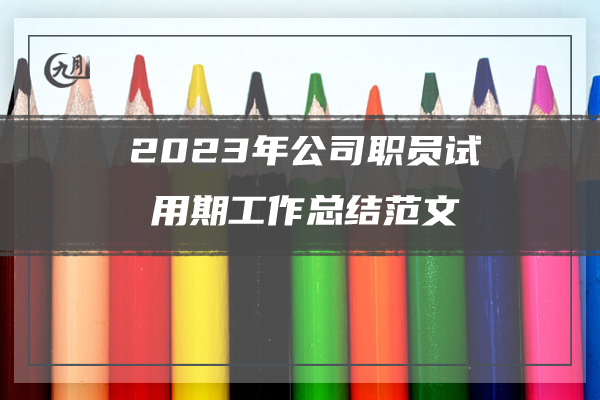 2023年公司职员试用期工作总结范文