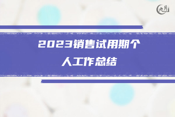 2023销售试用期个人工作总结