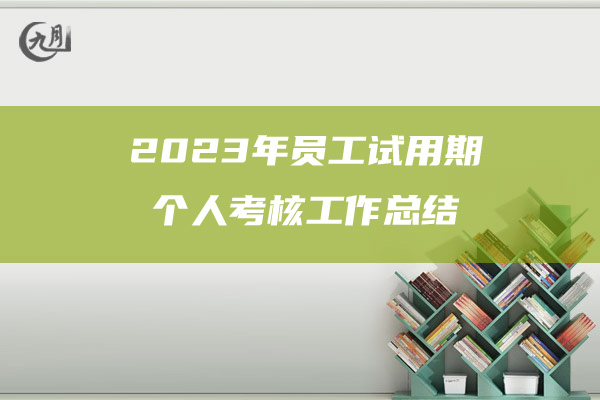 2023年员工试用期个人考核工作总结