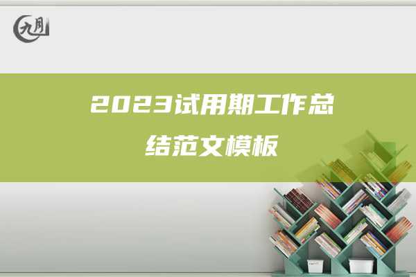 2023试用期工作总结范文模板