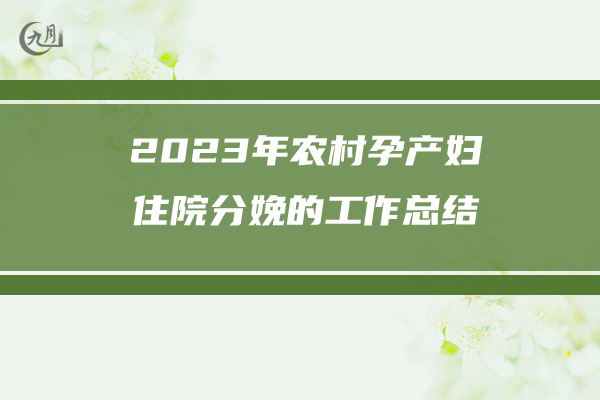 2023年农村孕产妇住院分娩的工作总结