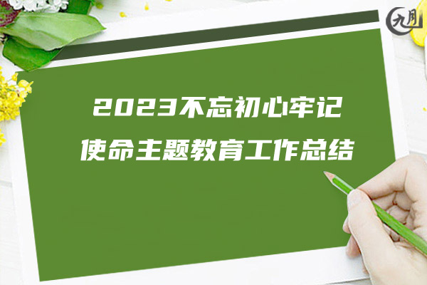 2023不忘初心牢记使命主题教育工作总结