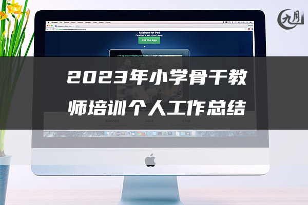 2023年小学骨干教师培训个人工作总结