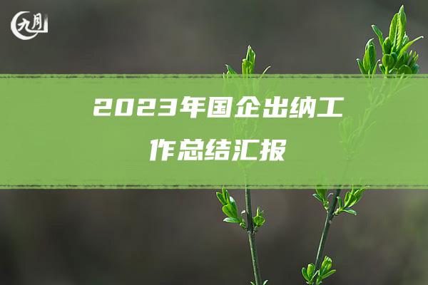 2023年国企出纳工作总结汇报