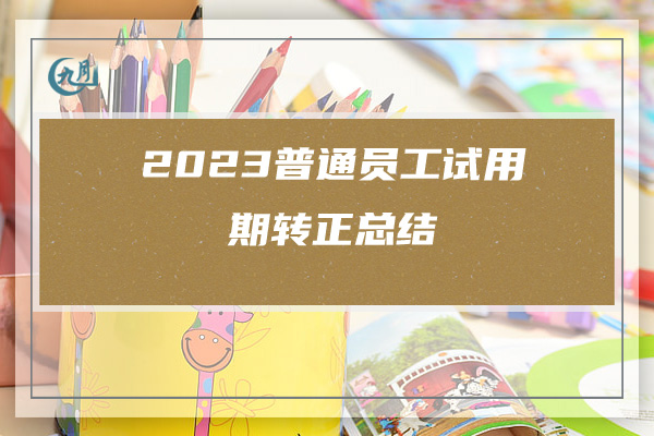 2023普通员工试用期转正总结