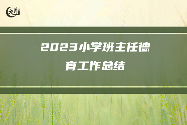 2023小学班主任德育工作总结