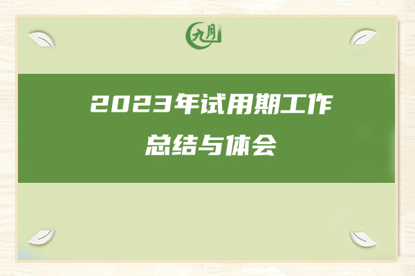 2023年试用期工作总结与体会