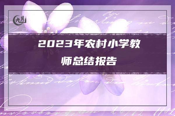 2023年农村小学教师总结报告