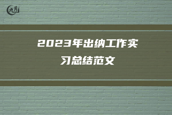 2023年出纳工作实习总结范文