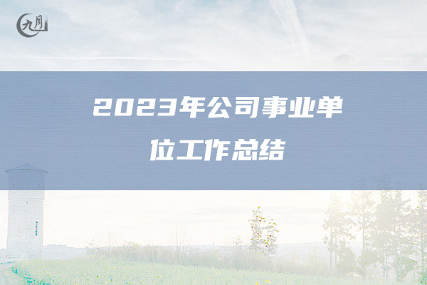 2023年公司事业单位工作总结