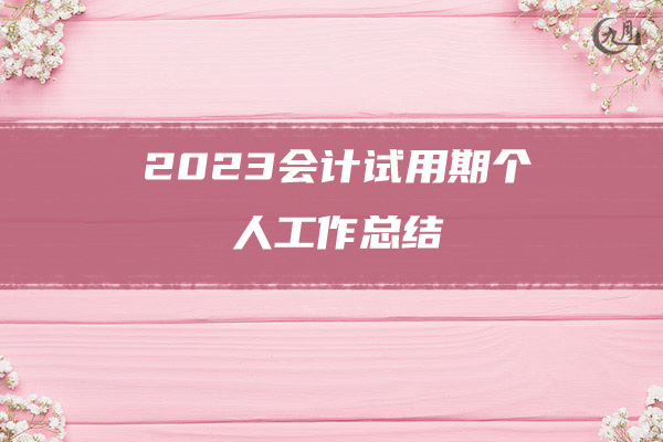 2023会计试用期个人工作总结