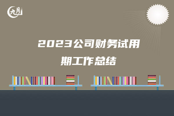 2023公司财务试用期工作总结